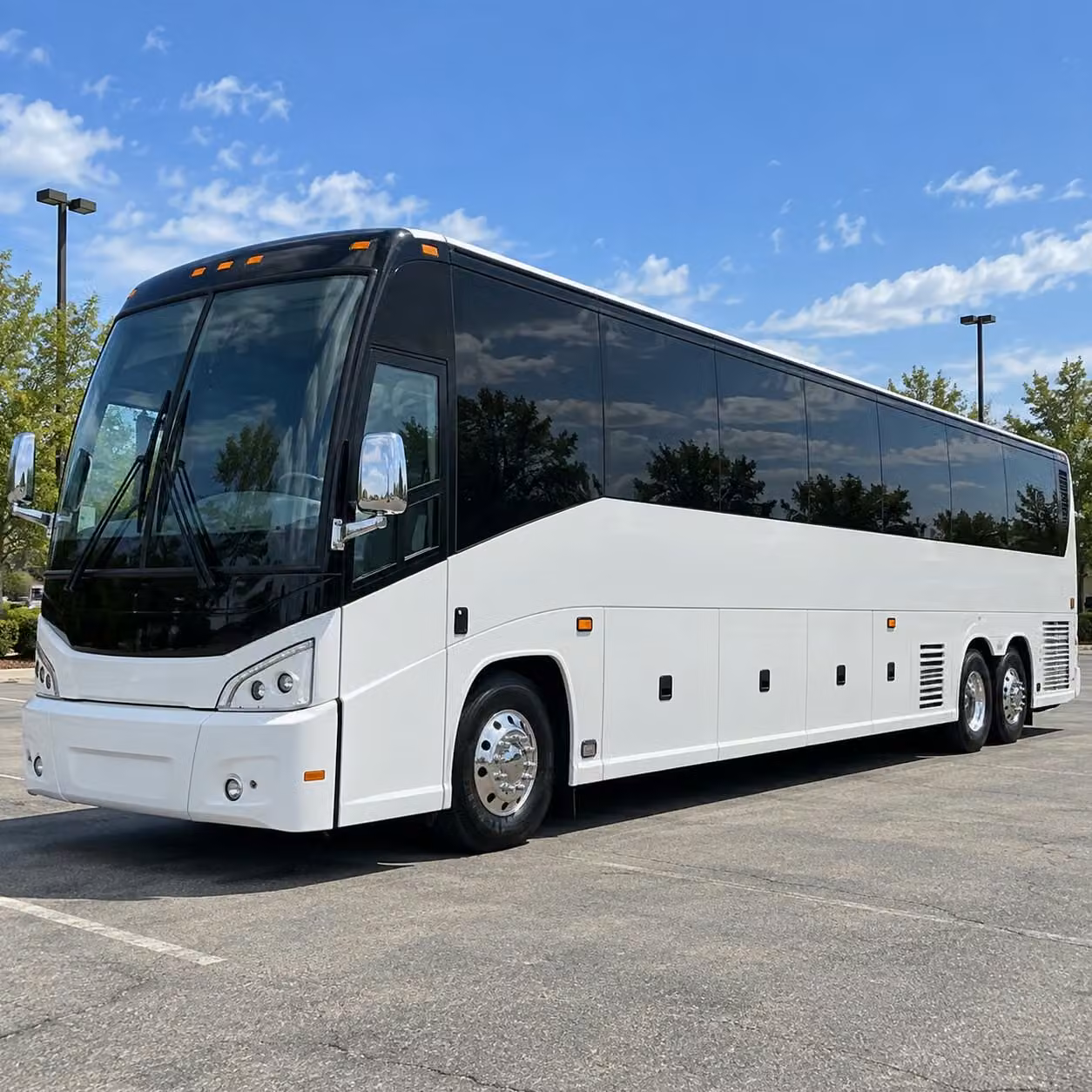 capitol hill library of congress civics field trip transportation in washington